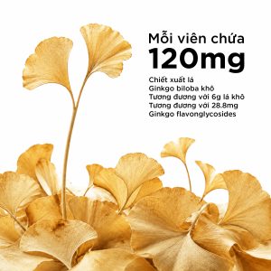 Alternative view of Viên Uống Bổ Não Healthy Care Ginkgo Biloba 6000mg Cải Thiện Trí Nhớ 60 Viên