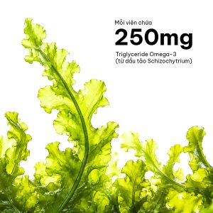 Alternative view of Viên Uống Bổ Sung Dưỡng Chất Cho Bé Healthy Care High Strength DHA 60 Viên