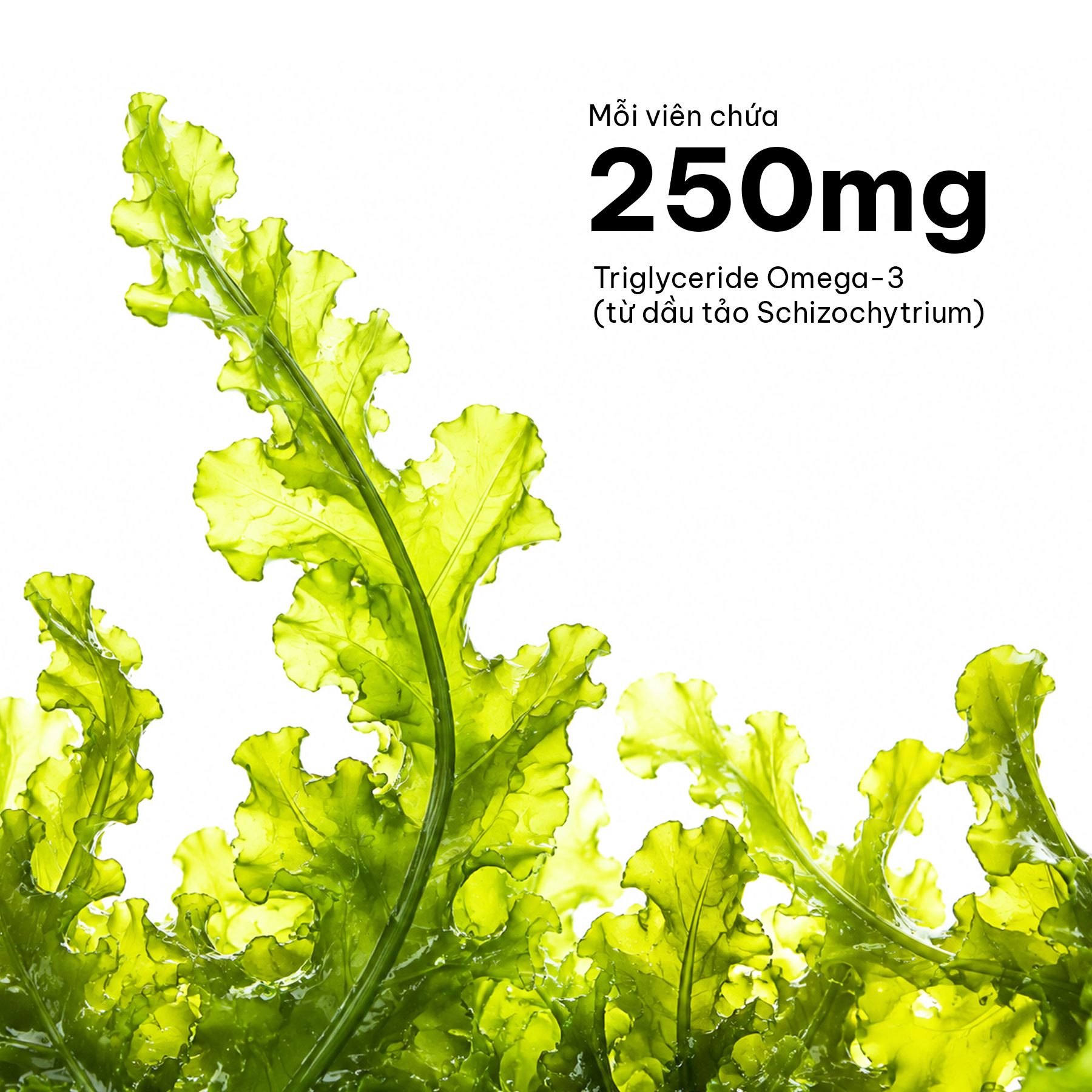 Viên Uống Bổ Sung Dưỡng Chất Cho Bé Healthy Care High Strength DHA 60 Viên - Ảnh 2