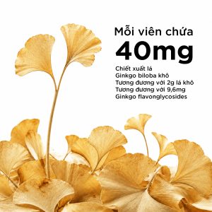 Alternative view of Viên Bổ Não Healthy Care Ginkgo Biloba 2000mg Tăng Cường Trí Nhớ, Giảm Đau Đầu, Lưu Thông Máu Não 100 Viên